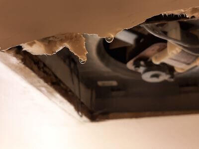 Water Damage Services